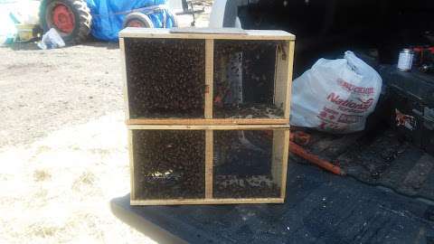 AE Honey Farm